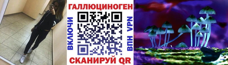 даркнет клад  Чегем  Псилоцибиновые грибы мицелий 